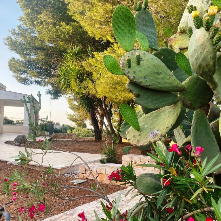 Villa Falesia, Capitolo, Monopoli - Casa con 3 Camere da Letto - 7