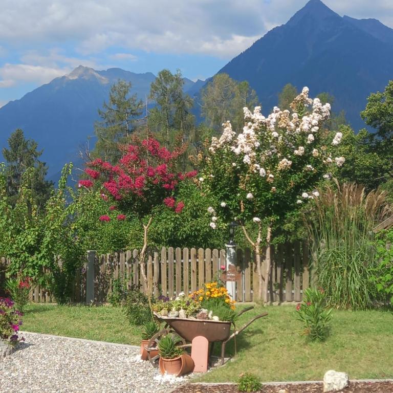 Waldoase - Appartamento - 2