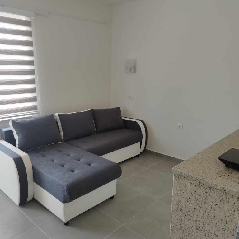 Apartmani Manić - Apartman sa Terasom - 10