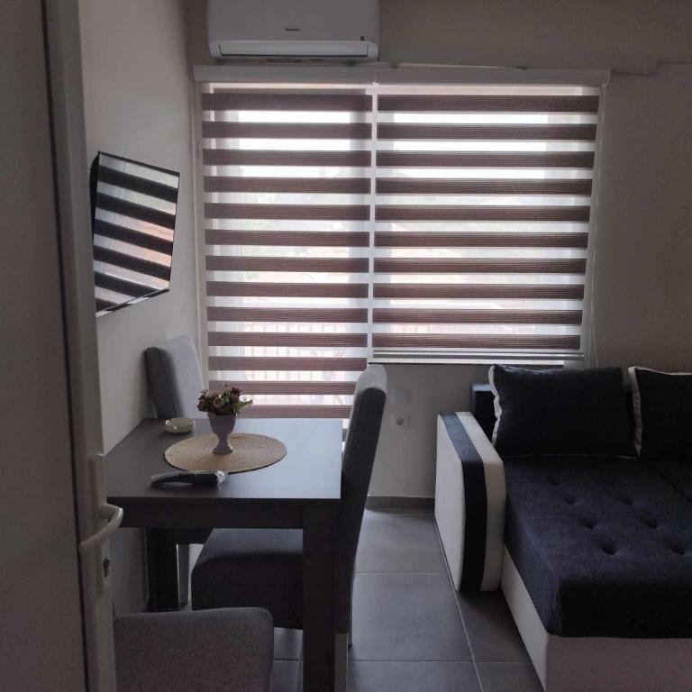 Apartmani Manić - Apartman sa Terasom - 6