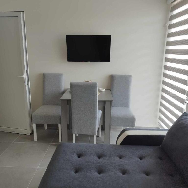 Apartmani Manić - Apartman sa Terasom - 8