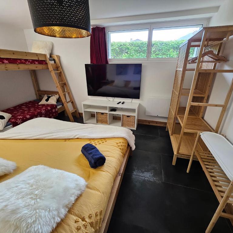 Les Fées Mer : appart 150 m² hypercentre calme 10p - Apartment - 15