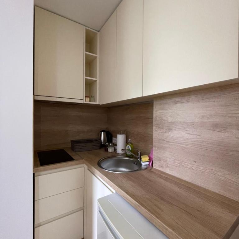 Apartmani Videnovic Sokobanja - Studio sa Balkonom - 5