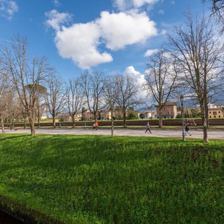 Casa Daria, Modern 4 Bedrooms Apartment in Lucca - Apartment - 8