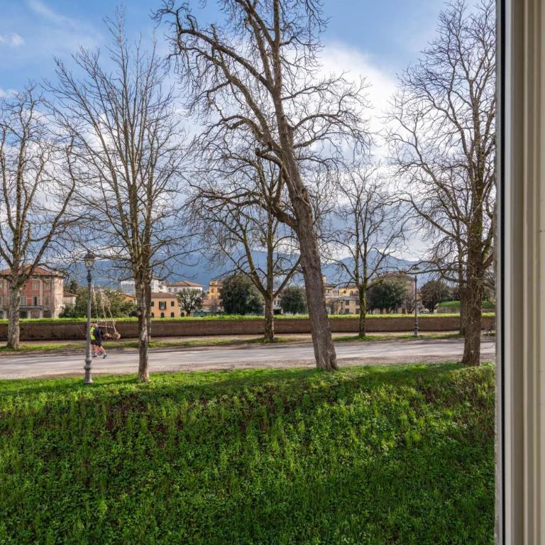 Casa Daria, Modern 4 Bedrooms Apartment in Lucca - Apartment - 7