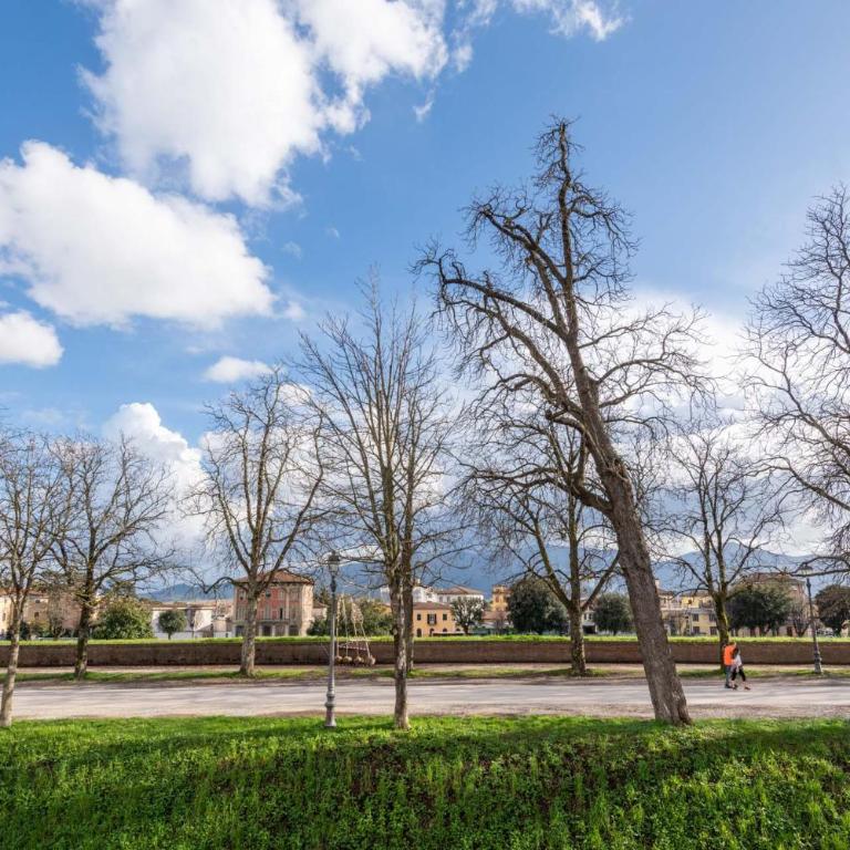 Casa Daria, Modern 4 Bedrooms Apartment in Lucca - Apartment - 32