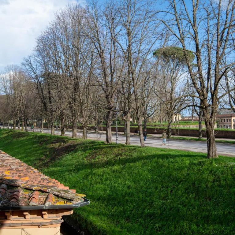 Casa Daria, Modern 4 Bedrooms Apartment in Lucca - Apartment - 49