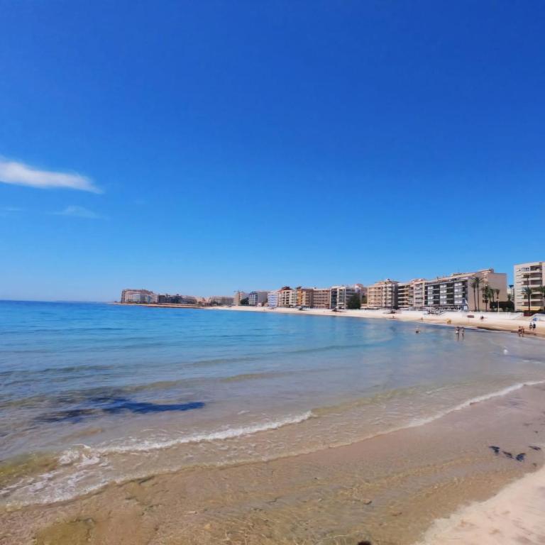 Solymar Torrevieja - Apartamento de 1 Dormitorio con balcón y vistas a la ciudad - 15