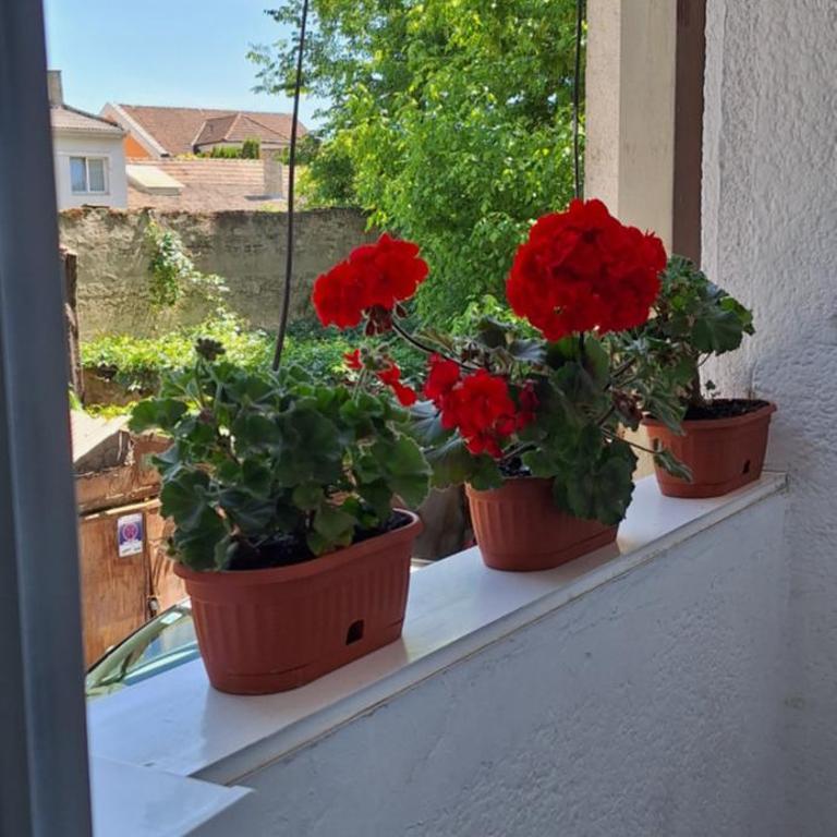 Apartman Lara - One-Bedroom Apartment - 29