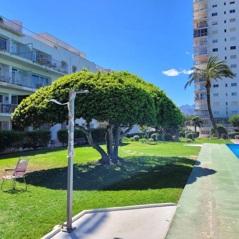 Apartamento frente al mar - Apartamento de 3 dormitorios - 4