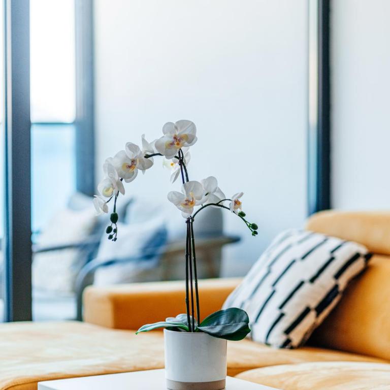 Budva Gate by In Property - Apartman sa 1 Spavaćom Sobom - 46