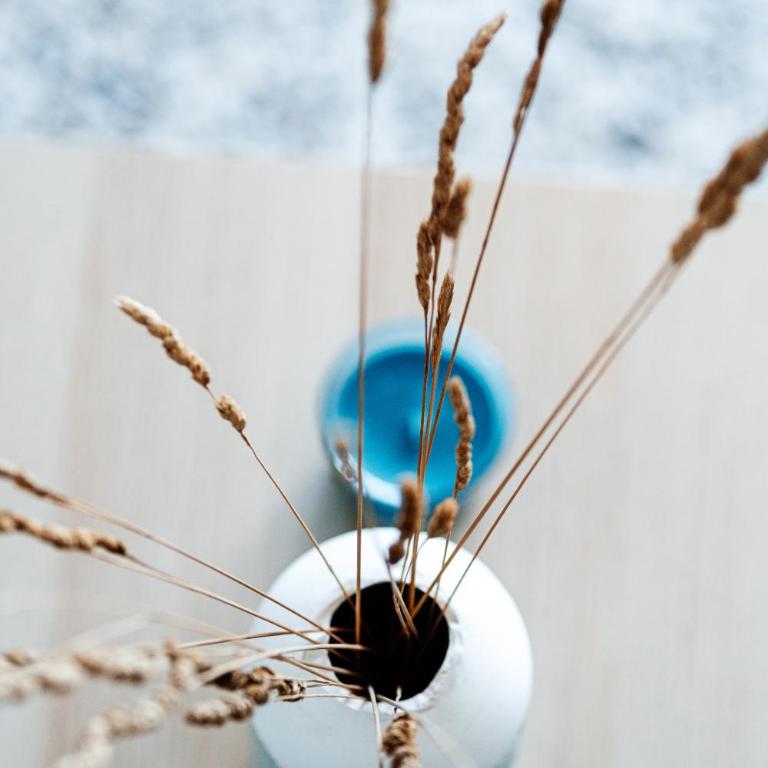 Budva Gate by In Property - Apartman sa 1 Spavaćom Sobom - 55