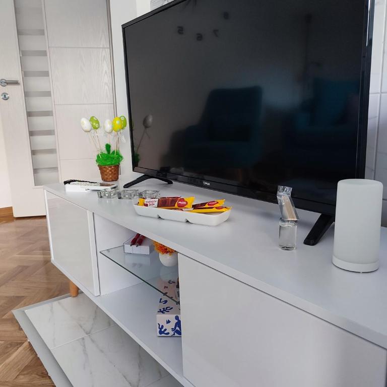 Apartman PINA Vrnjacka Banja - Apartman sa 1 Spavaćom Sobom - 6