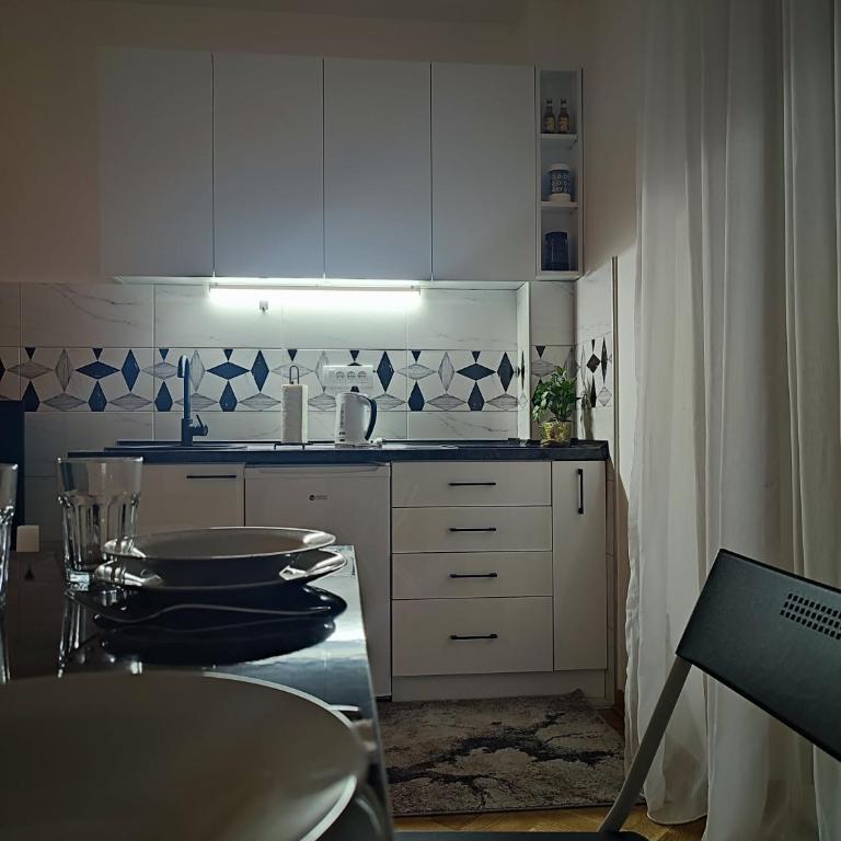 Apartman PINA Vrnjacka Banja - Apartman sa 1 Spavaćom Sobom - 13