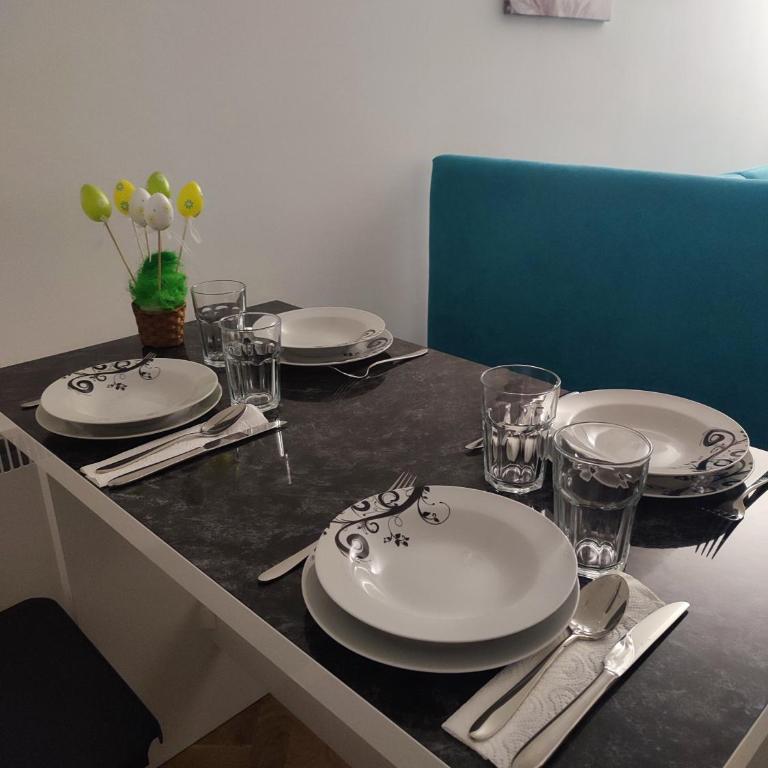 Apartman PINA Vrnjacka Banja - Apartman sa 1 Spavaćom Sobom - 12