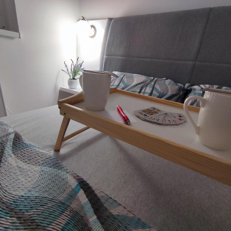 Apartman PINA Vrnjacka Banja - Apartman sa 1 Spavaćom Sobom - 10