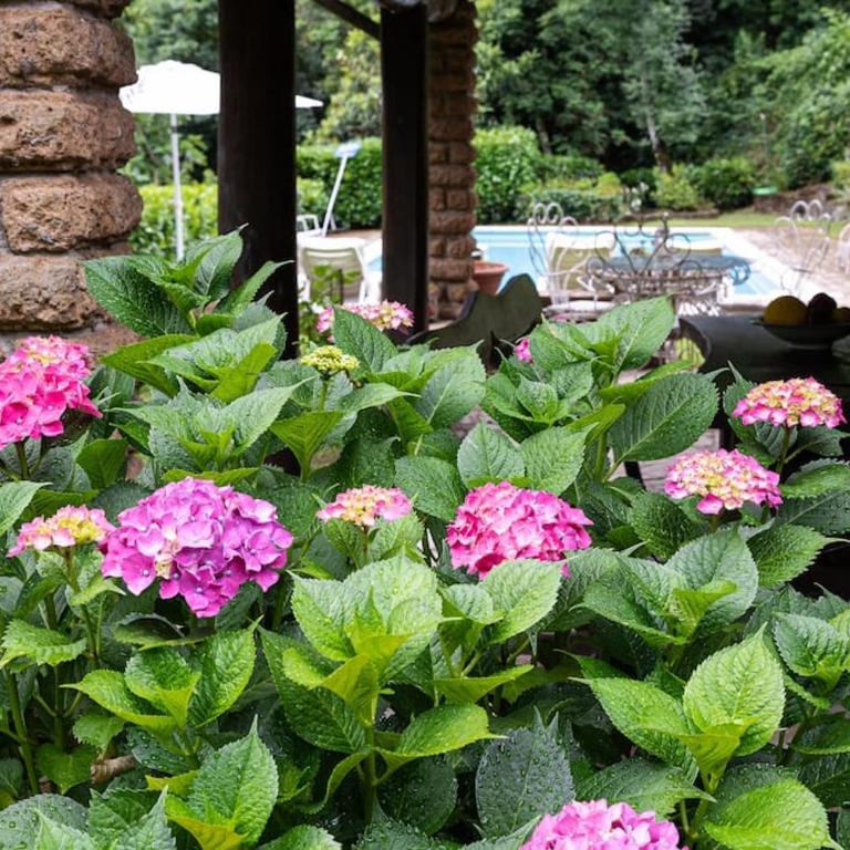 Villa Letizia with pool - 10 min drive to Orvieto town - Villa con Piscina Privata - 13