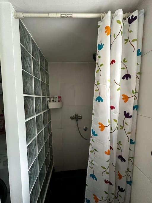 Cozy apartment in Vračar +garden - Apartman sa 2 Spavaće Sobe - 14