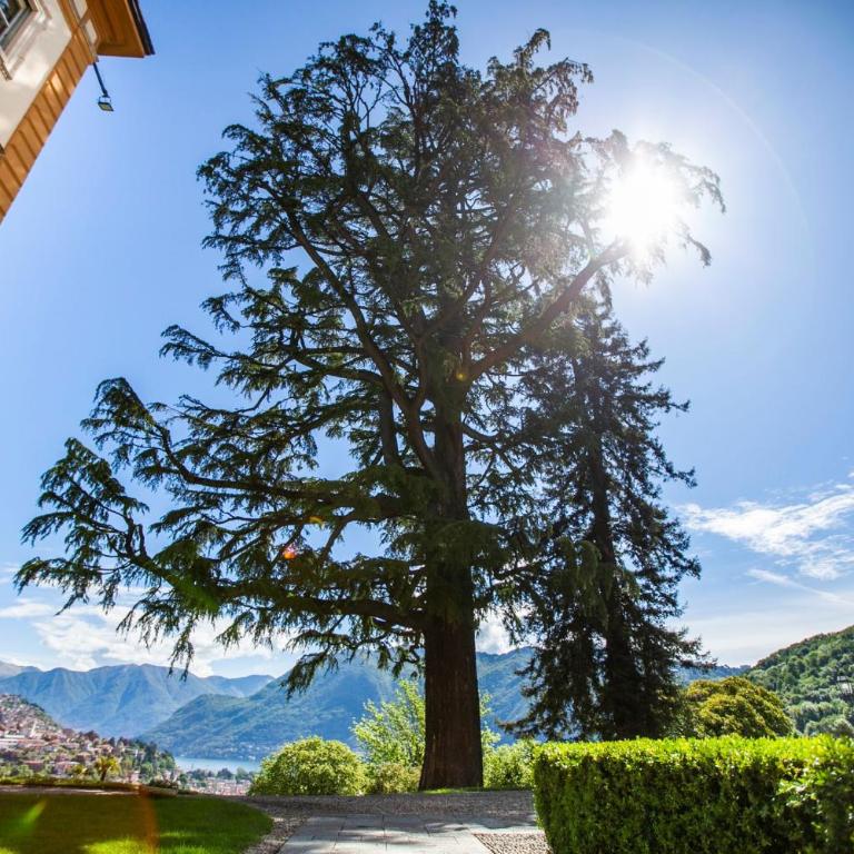 Villa Baragiola - Appartamento con 2 Camere da Letto - 64