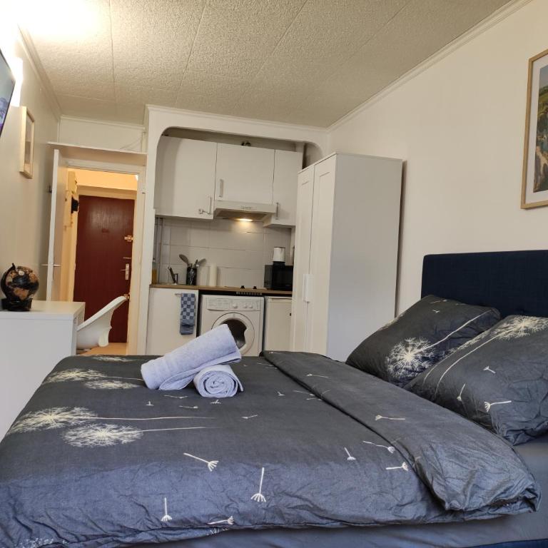 Trocadéro suite Paris 16ieme - with balcony - Appartement 1 Chambre - 10