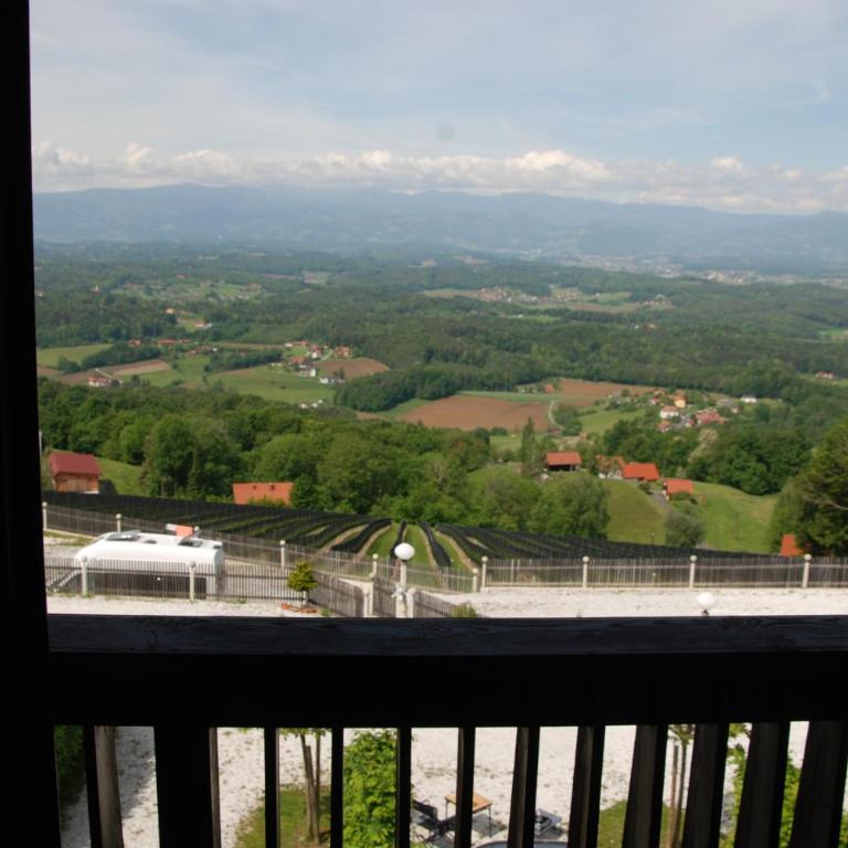 Weinberg-Panorama-Ferienhaus - Ferienhaus - 29
