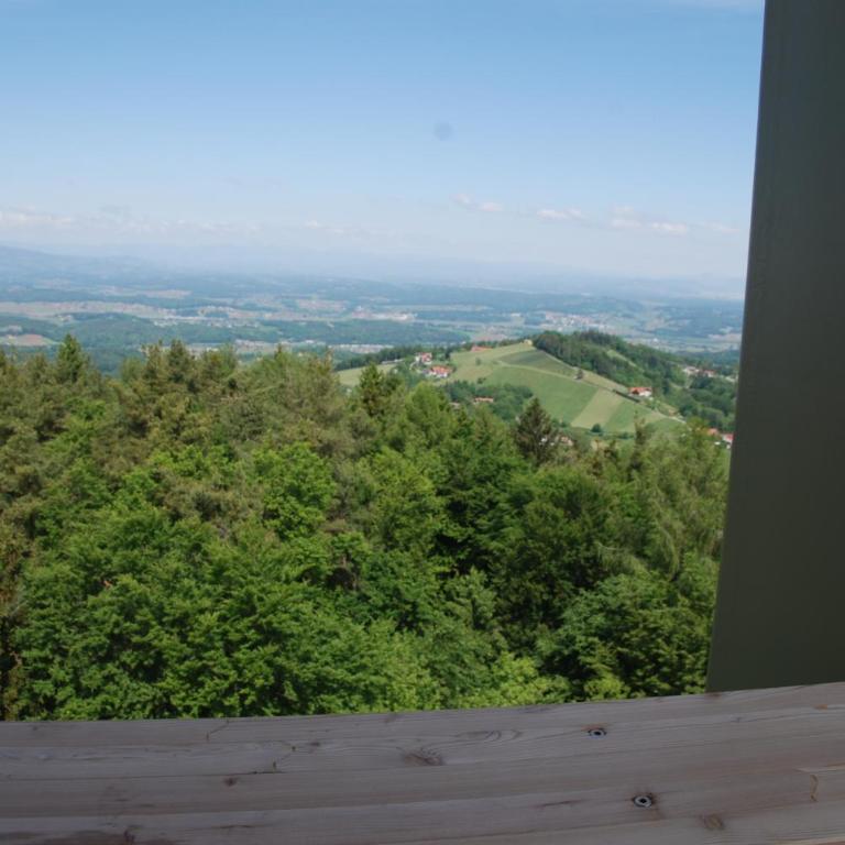 Weinberg-Panorama-Ferienhaus - Ferienhaus - 40