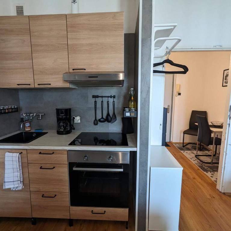 Zentrales Studio-Apartment in Linz, Arbeiter-hit - Apartment mit 1 Schlafzimmer - 1