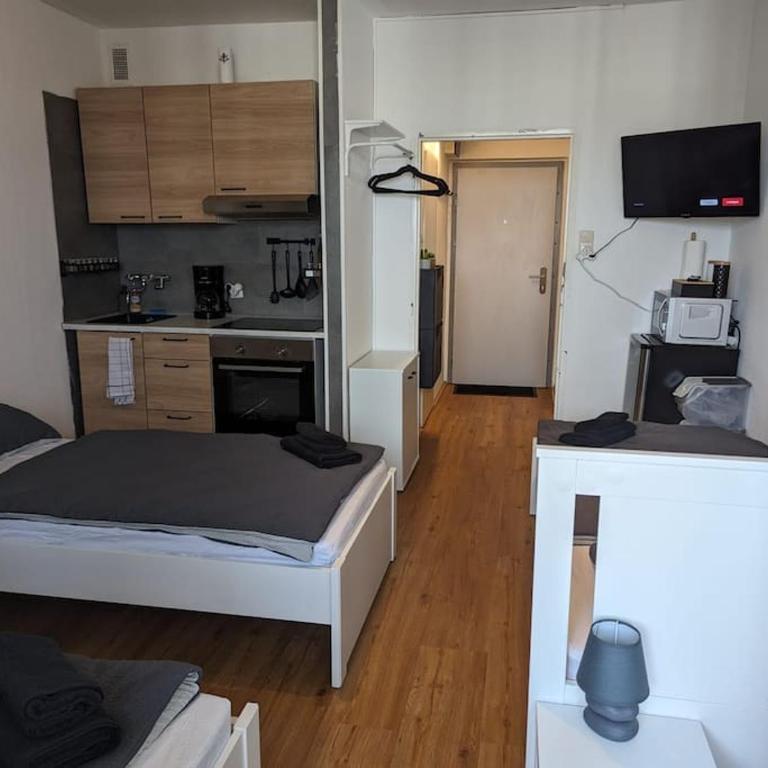 Zentrales Studio-Apartment in Linz, Arbeiter-hit - Apartment mit 1 Schlafzimmer - 9