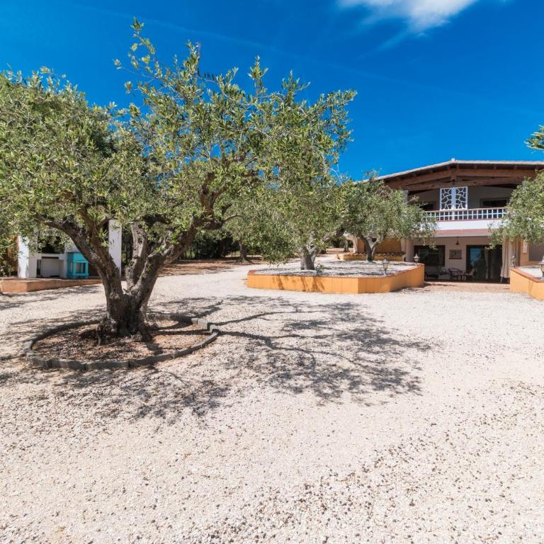 Rustico degli Ulivi - Appartamento con 1 Camera da Letto e Terrazza - 20