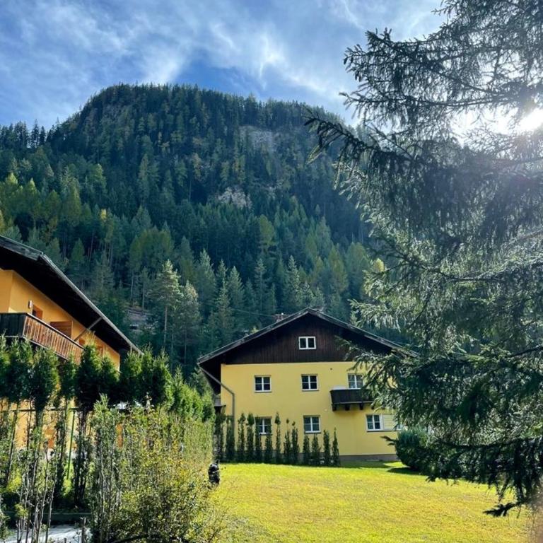 Ferienwohnung Neufundländer - Apartment - 3