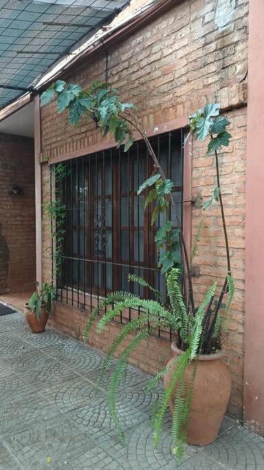 Casa Pancha - Casa de 3 dormitorios - 45