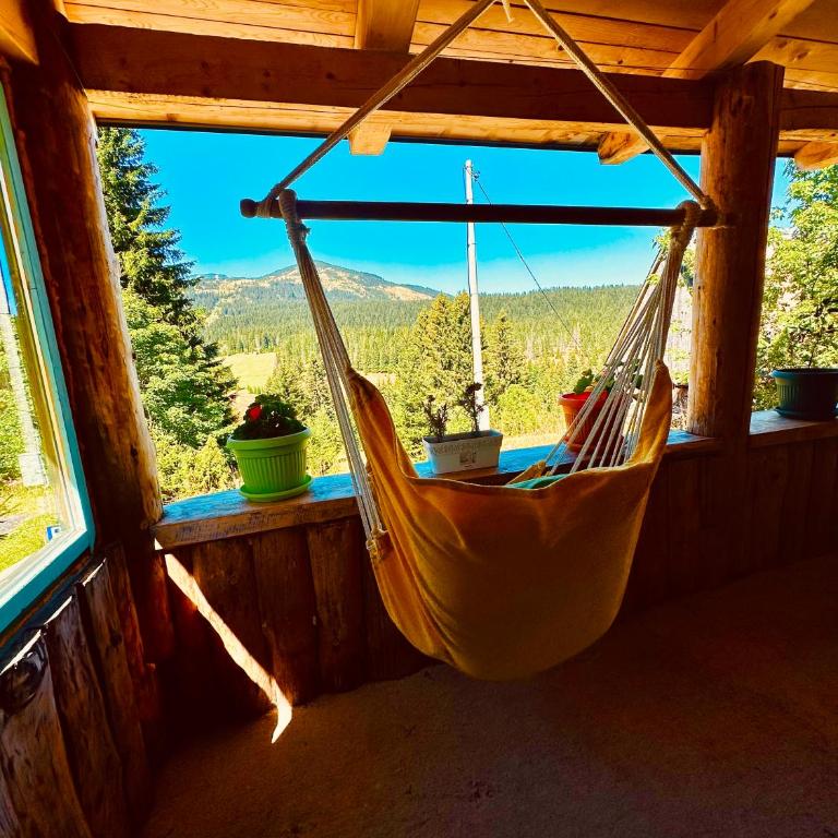 Mountain story apartment - Studio with Mountain View - 4