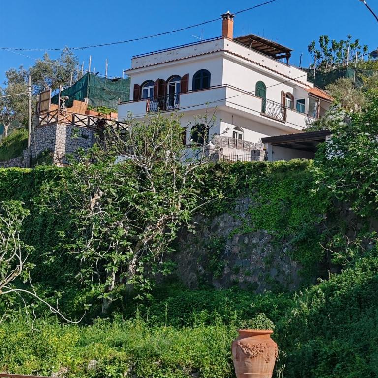 Panoramic Sea-View Apartments with Terrace, Marina della Lobra - Appartamento con Vista Mare - 10