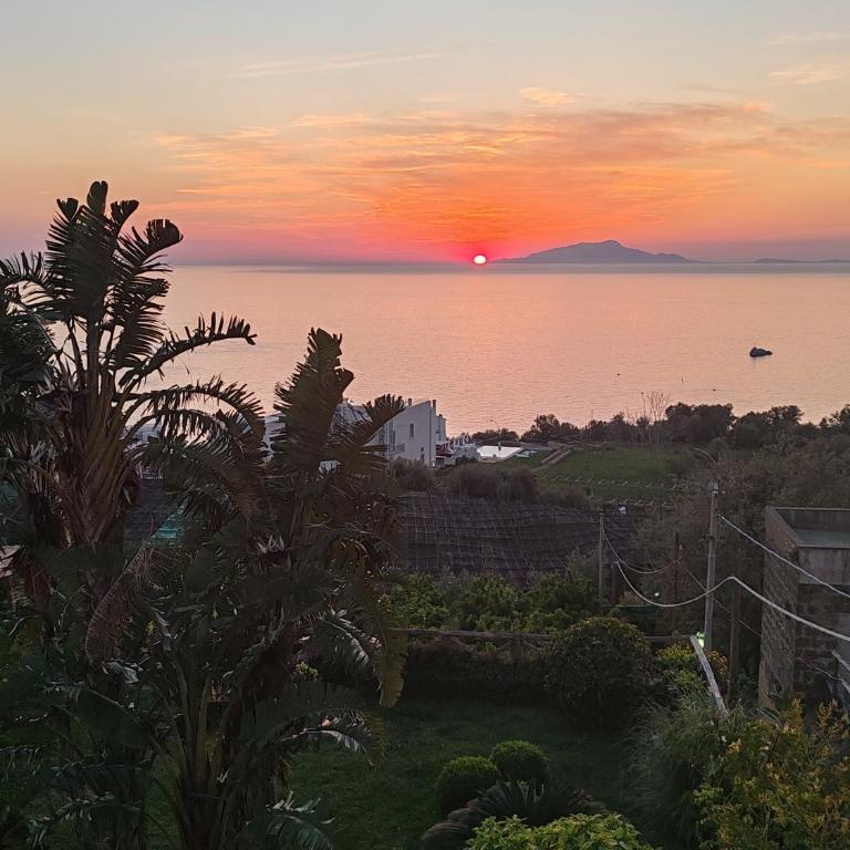 Panoramic Sea-View Apartments with Terrace, Marina della Lobra - Appartamento con Vista Mare - 29