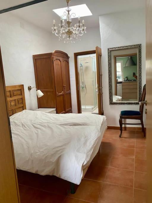 Ruhiges Apartment auf Öko-Finca Mogan No2 - Appartement 1 Chambre - 13