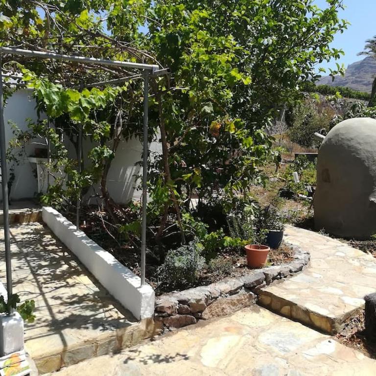 Ruhiges Apartment auf Öko-Finca Mogan No2 - Appartement 1 Chambre - 3