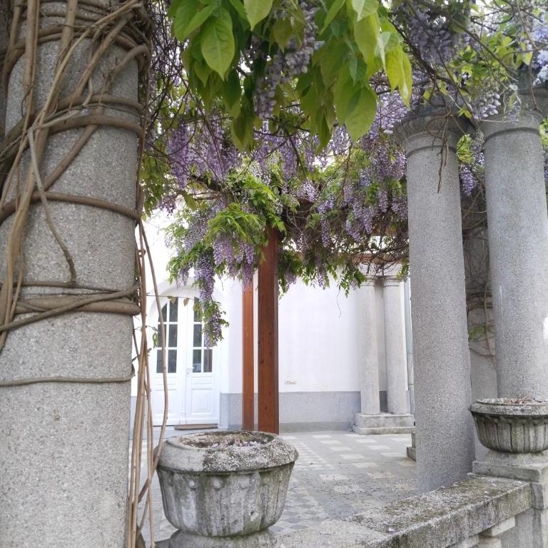 Apartman Sofia - Apartman sa 1 Spavaćom Sobom - 33