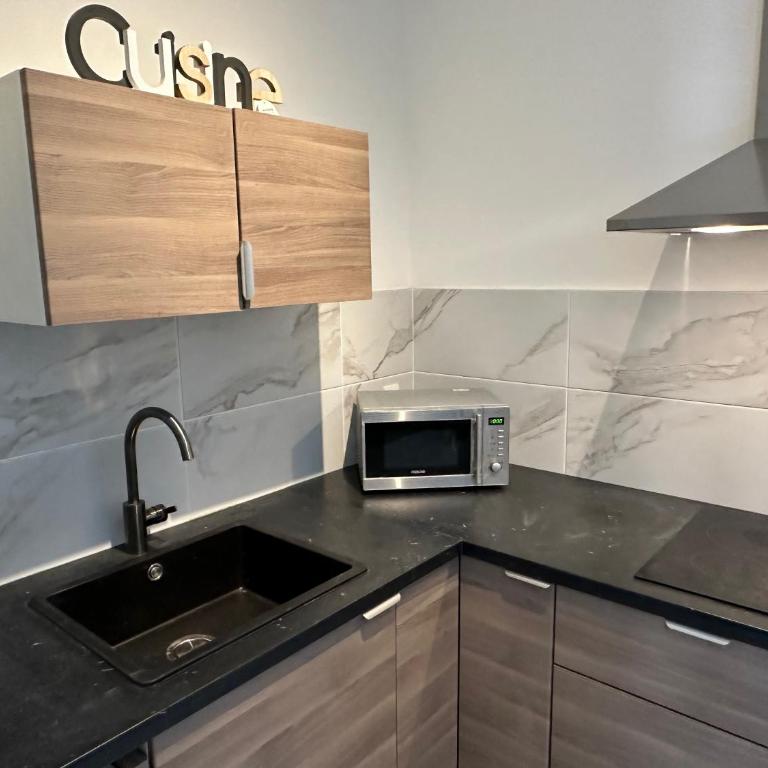 STUDIO REFAIT A NEUF CENTRE DE NICE - Appartement 1 Chambre - 4
