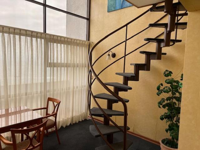 Hotel Florencia Suites & Apartments - Estudio - 3