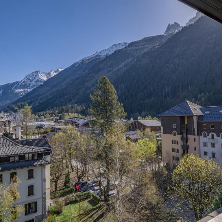 Chamois Blanc Rosières- bright 1 bed apartment with amazing views - Apartamento - 6