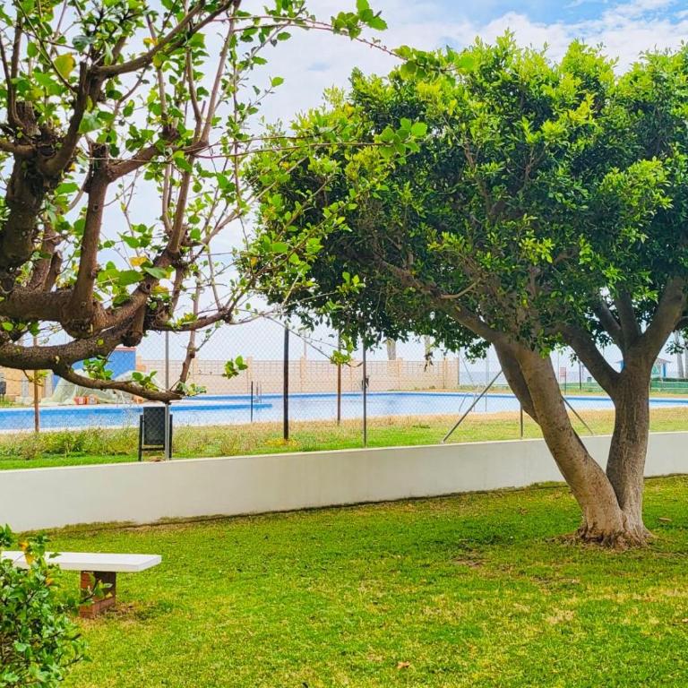 Estudio Pepa Luna Algarrobo Beach - Studio with Sea View - 39