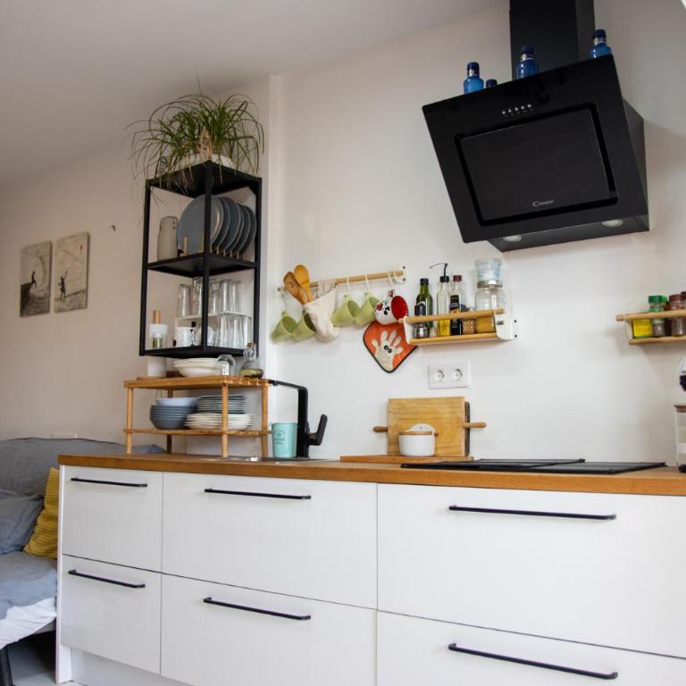 Apartamento Naturista - Apartamento de 1 dormitorio - 2