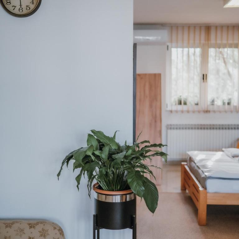 MASAL Studio Apartman - One-Bedroom Apartment - 14