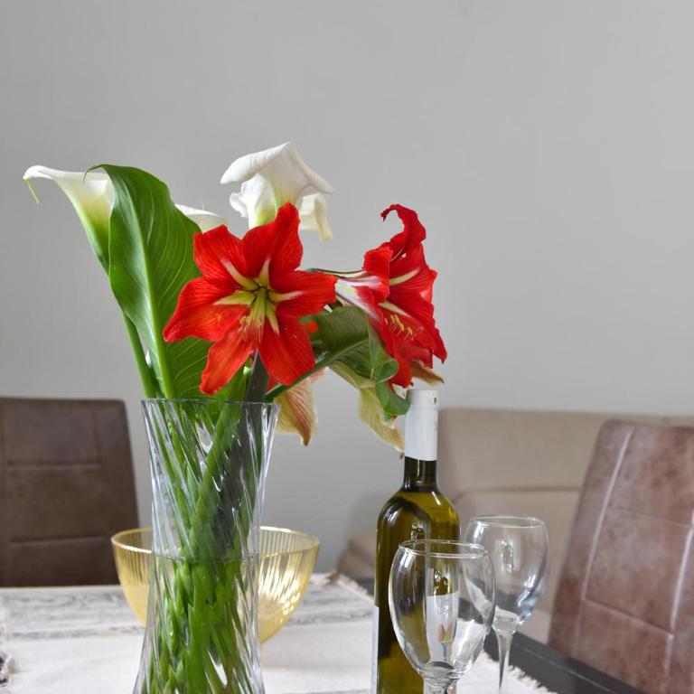 Apartmani Mihovic - JAZ - One-Bedroom Apartment with Terrace - 9