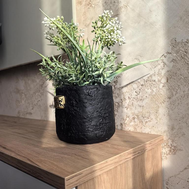 Sunny Hill - Parking - Fenced Garden - Luxury Loft - Apartman sa 1 Spavaćom Sobom - 22