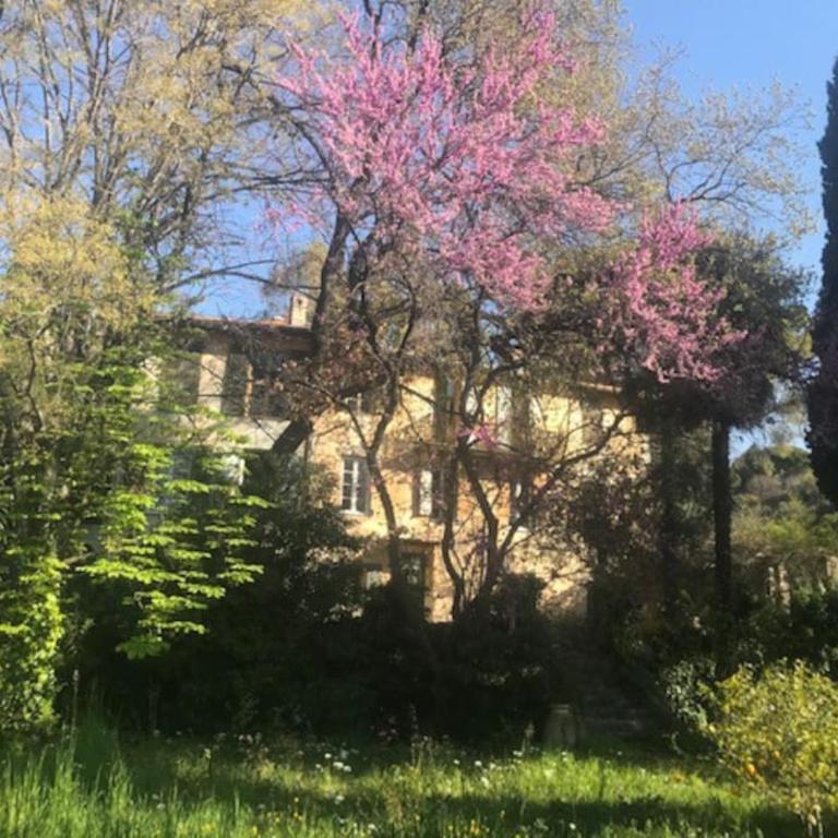 Maison de charme dans les collines niçoises - Maison 4 Chambres - 1