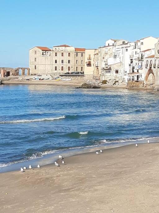 Seaview terrace Ficodindia CIR19082027C221287 - Appartamento con 2 Camere da Letto - 11