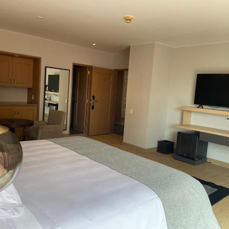 Hotel Parque 97 Suites - Suite Junior con terraza - 7