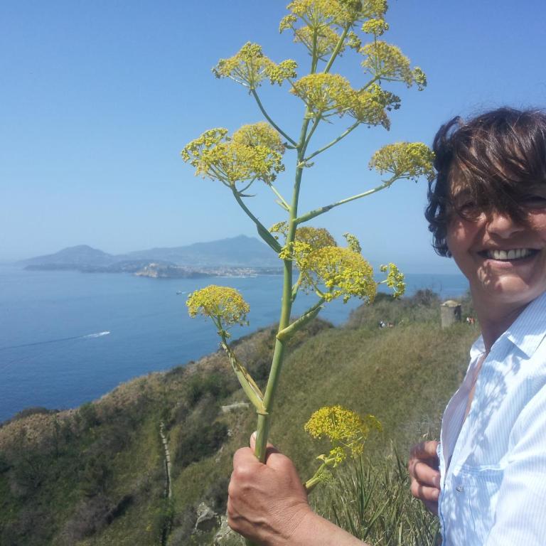 Mary's Country Villa - Villa in charming and amazing Sorrento Coast - Two-Bedroom Villa - 38