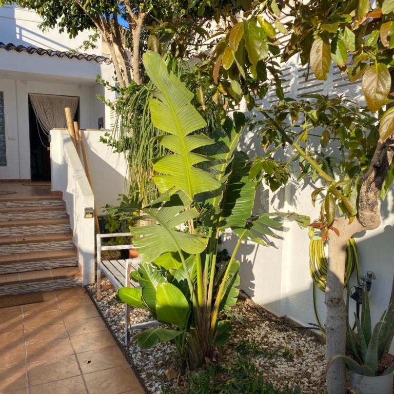 Casa Energía del Cabo. San Jose Cabo de Gata. - Casa de 3 dormitorios - 20